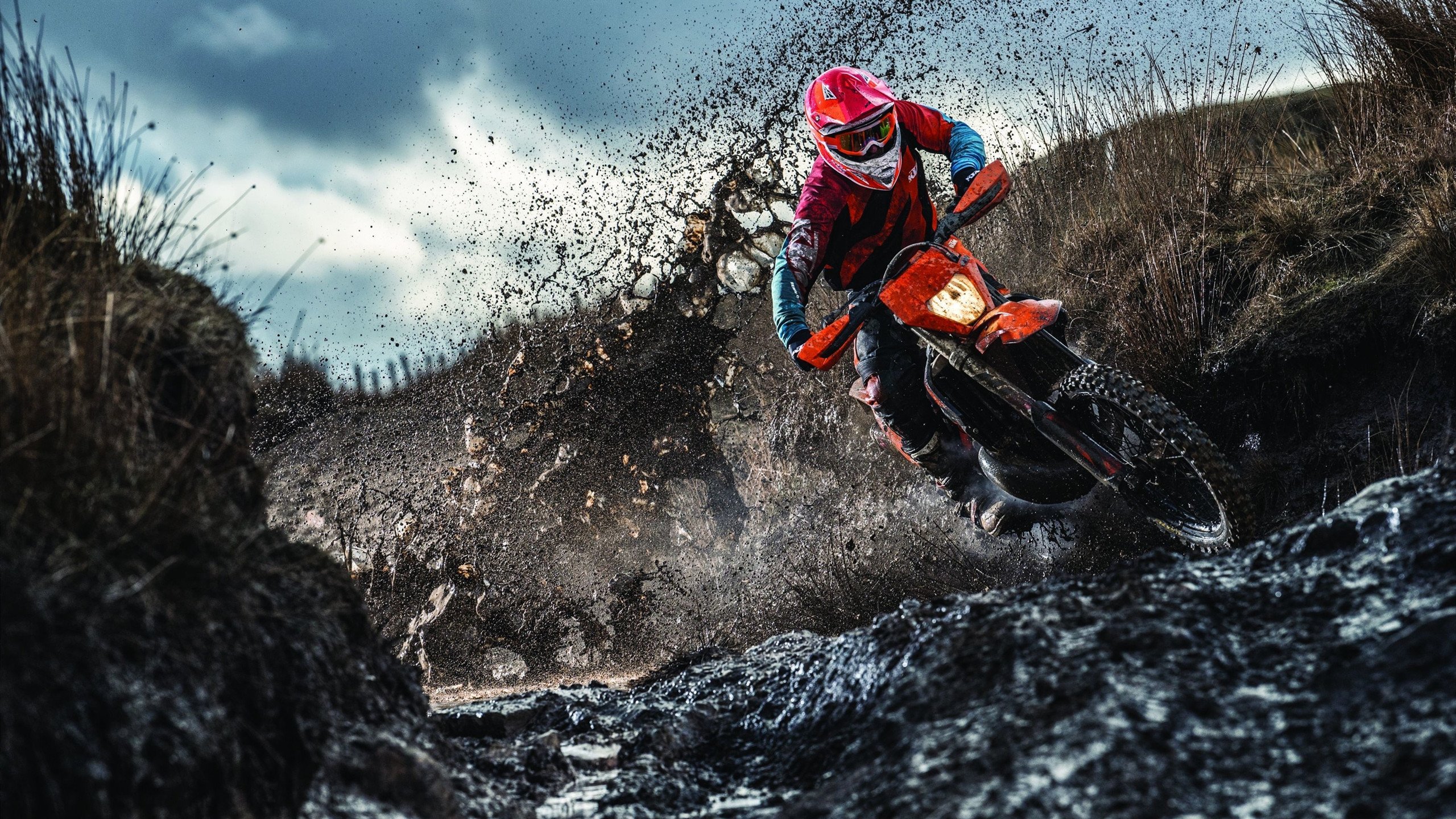 _运动员专访：背后的训练故事与未来目标_，运动员刻苦训练的故事